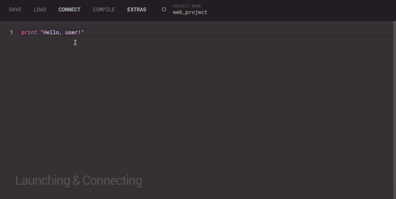 Video showing how to launch and connect to a language server in the editor.